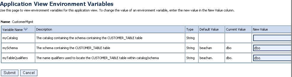 Application View Environment Variables