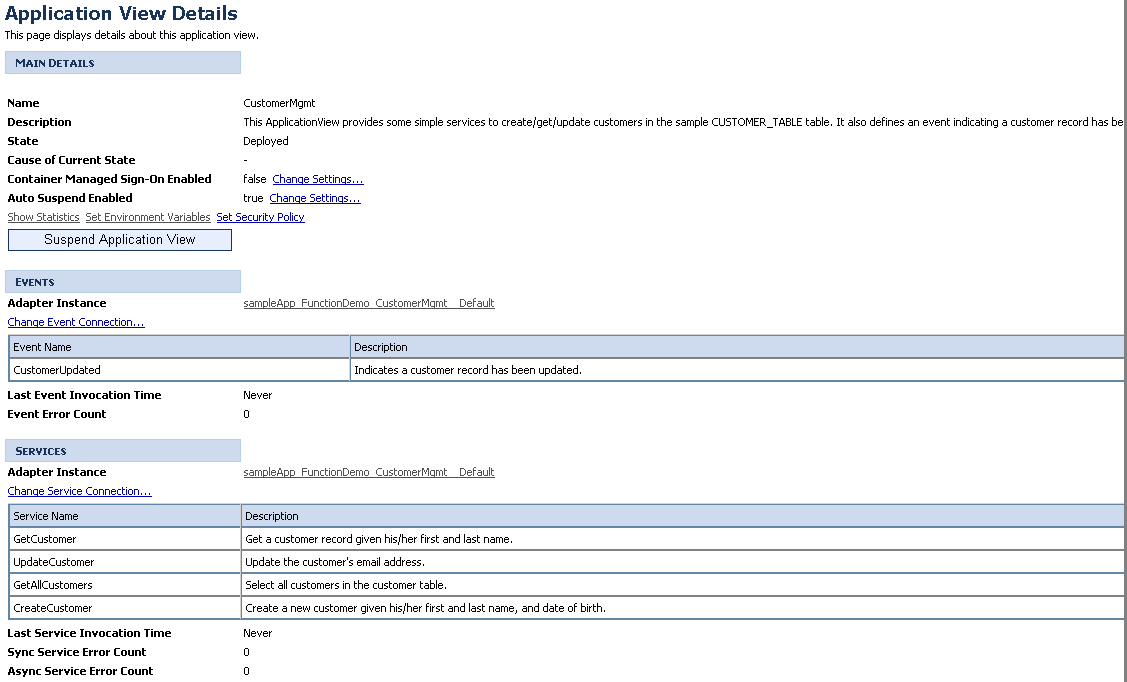 Application View Instance Summary