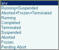 Process Instance Details 