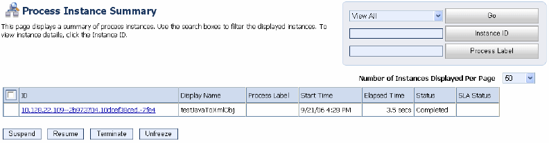 Process Instance Summary Page