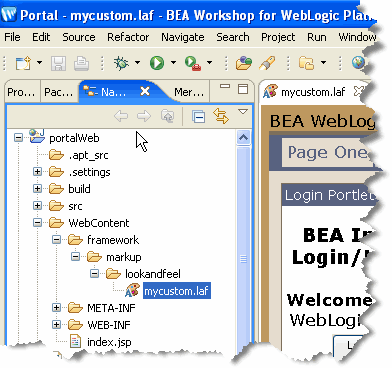 Selected Look And Feel File