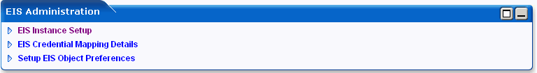EIS Administration Screen