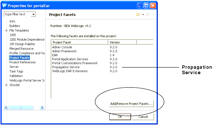 Checking the Propagation Service Facet