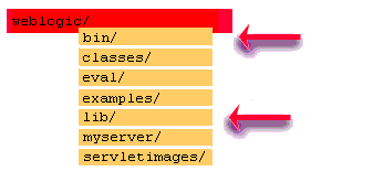 Distribution
