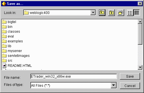Saving the generated ZAC installation program