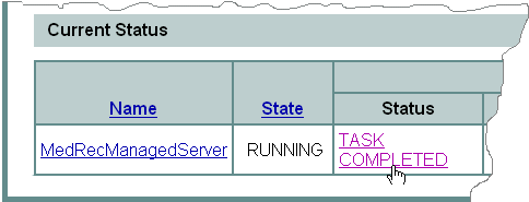 View the Node Manager Output