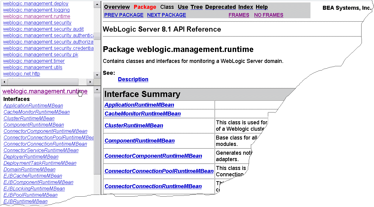 Javadoc for the runtime Package
