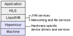 LiquidVM Provides Operating System Features