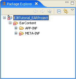 EAR project with error.