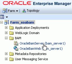 Description of bam_em_nav_server.gif follows Description of bam_em_nav_server.gif follows