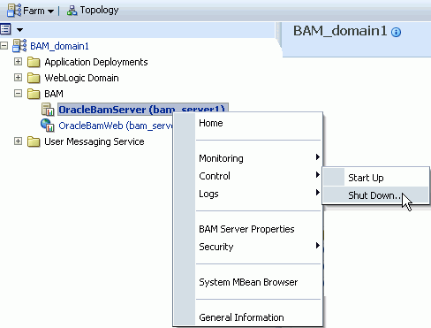 Description of bam_startup.gif follows Description of bam_startup.gif follows