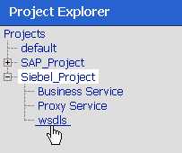 WSDL folder WSDL folder