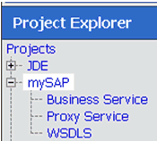 expanded mySAP project folder expanded mySAP project folder