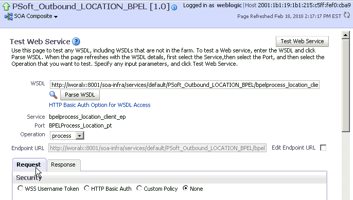 Test Web Service pane Test Web Service pane