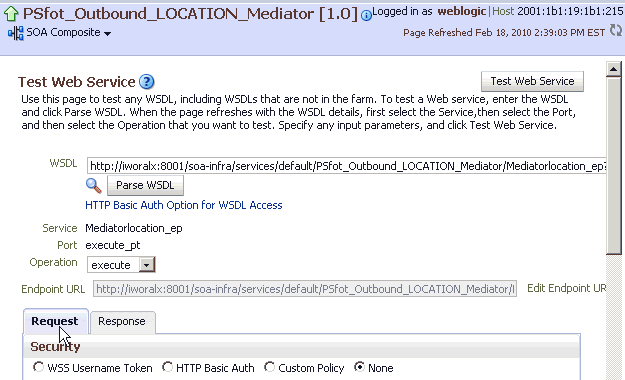 Test Web Service pane Test Web Service pane
