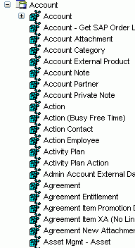A Siebel Account Business Object expanded. A Siebel Account Business Object expanded.