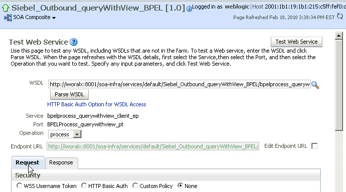 Test Web Service pane Test Web Service pane