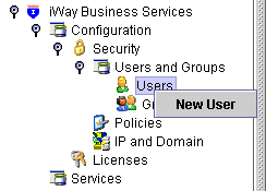 User&rsquo;s node selected with New User option available.