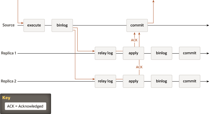 A transaction received by the source is executed and written to the binary log. The record from the binary log is sent to the relay logs on Replica 1 and Replica 2. The source then waits for an acknowledgement from the replicas. When both of the replicas have returned the acknowledgement, the source commits the transaction, and a response is sent to the client application. After each replica has returned its acknowlegement, it applies the transaction, writes it to the binary log, and commits it. The commit on the source depends on the acknowledgement from the replicas, but the commits on the replicas are independent from each other and from the commit on the source.
