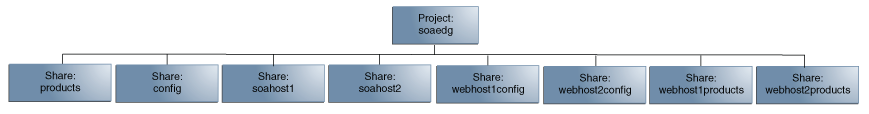 Physical Structure of the Shares