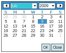 inputDate WM screenshot 3
