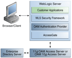 OAM Authentication for Web and non-Web Resources OAM Authentication for Web and non-Web Resources