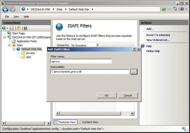 Description of isapi3_p.gif follows Description of isapi3_p.gif follows