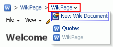 Opening a Wiki Documented Opening a Wiki Documented