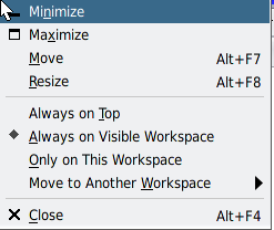Graphic shows the title bar menu with the Always Visible item on the menu. image:Graphic shows the title bar menu with the Always Visible item on the menu.