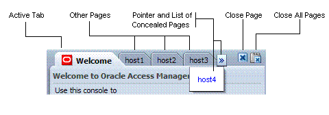 Tabs of Open Pages and Page Controls Tabs of Open Pages and Page Controls