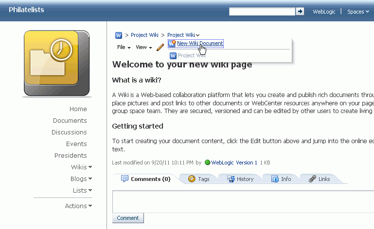 The New Wiki Document Option The New Wiki Document Option