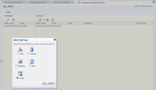 Surrounding text describes create_lookup.gif.