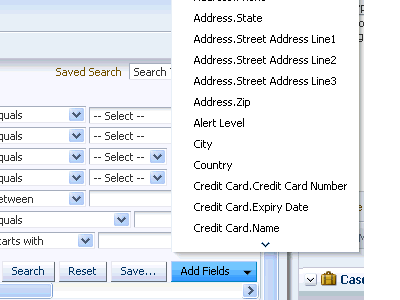Adding fields is shown.