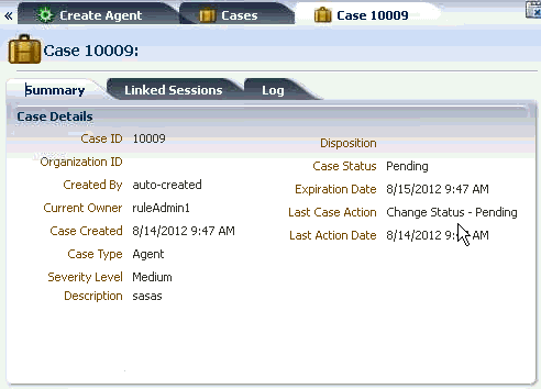 Case Details page