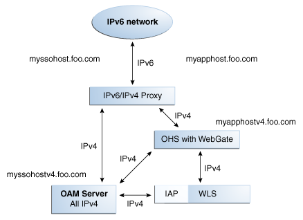 IPv6 with OAM 11g and Challenge Redirect IPv6 with OAM 11g and Challenge Redirect