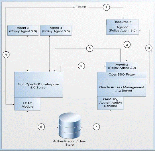 Description of Figure 18-1 follows Description of Figure 18-1 follows