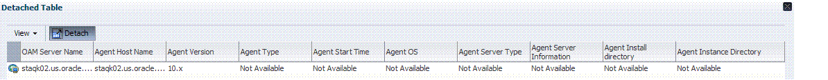 Agent Information Table Agent Information Table