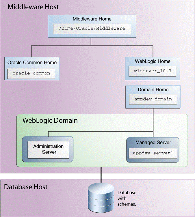 Directory Structure of Oracle Application Developer Directory Structure of Oracle Application Developer