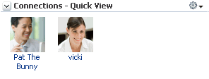 Connections - Quick View task flow Connections - Quick View task flow