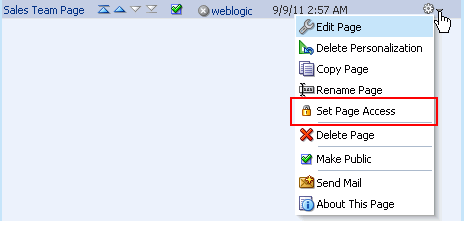 Set Page Access option on a business role page Set Page Access option on a business role page