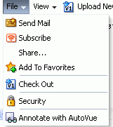 Document Viewer: File Menu for a File