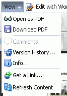 Document Viewer: View Menu Word Document