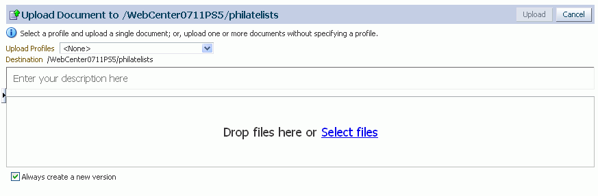 Option 1: Upload Document Pane (in FireFox browser)