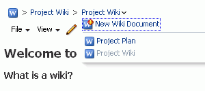 List of Wiki Documents List of Wiki Documents