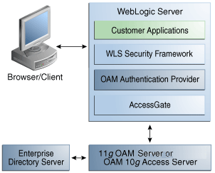 OAM Authentication for Web and non-Web Resources OAM Authentication for Web and non-Web Resources