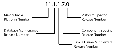 Example of an Oracle Release Number
