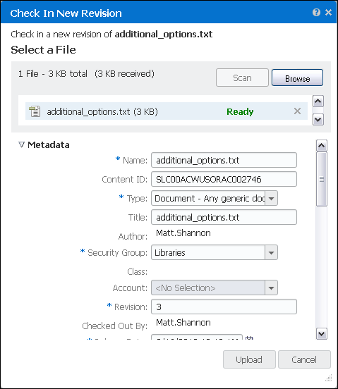 Check In New Revision form