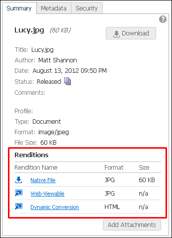 Rendition area of Summary Tab in Properties section Rendition area of Summary Tab in Properties section