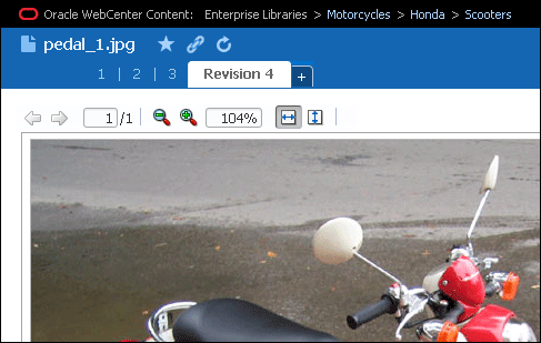 Revision Tabs in Document View