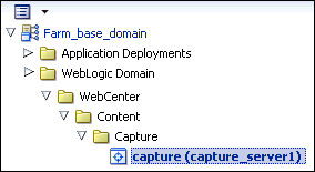 Description of domain-capture.gif follows Description of domain-capture.gif follows